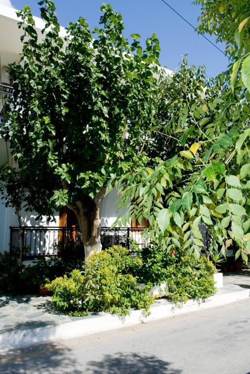 פליאוחורה Oasis Studios מראה חיצוני תמונה